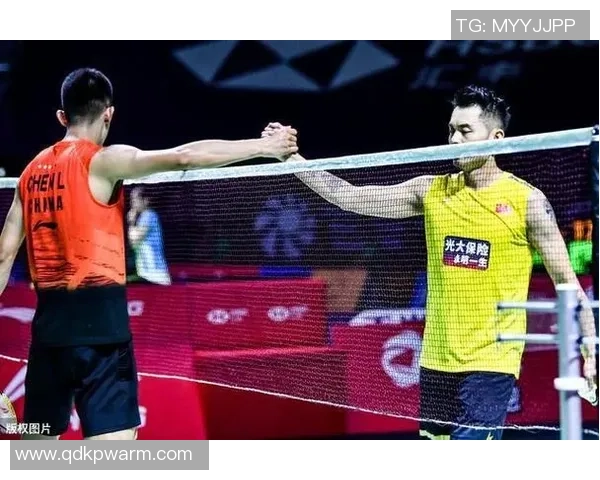 北京羽毛球队技术表现深度数据分析与战术优化研究