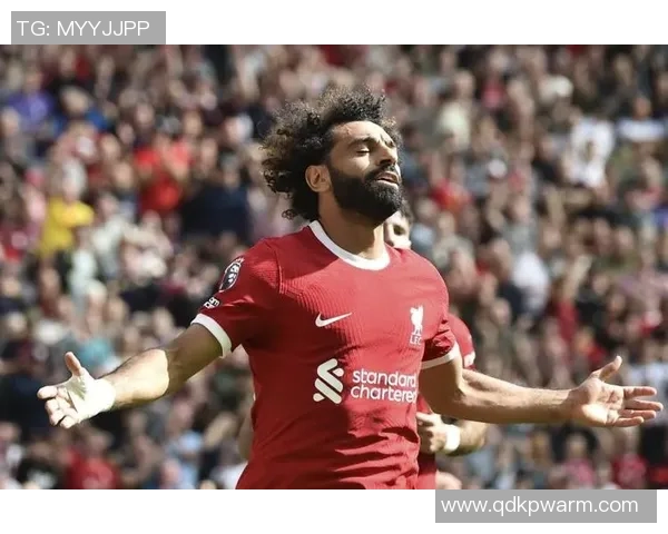 埃及足球明星的辉煌历程与成就解析