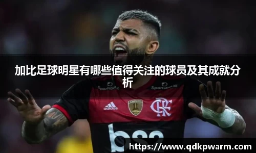 加比足球明星有哪些值得关注的球员及其成就分析
